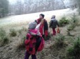 /album/vanocni-krmeni-zviratek/a2013-12-18-10-10-34-jpg/